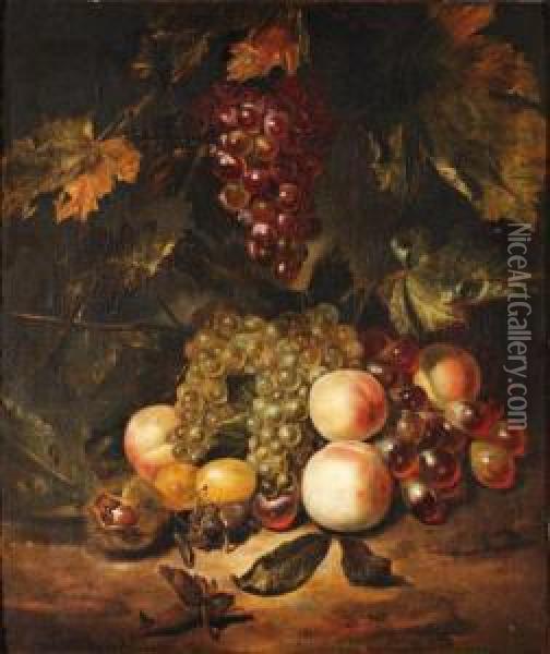 Nature Morte De Fruits En Automne Oil Painting - Jan Mortel