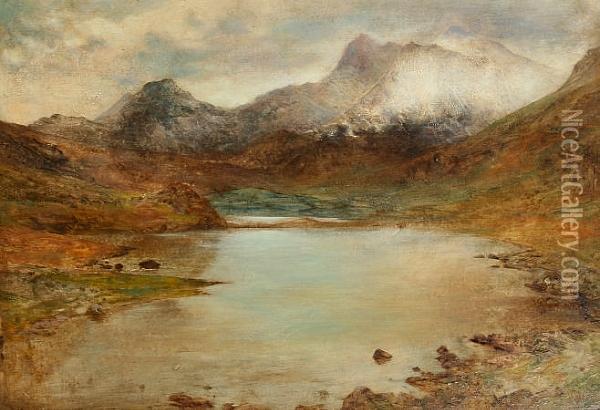 View Of Snowdon And Lake From Capel Curig Oil Painting - William Huggins