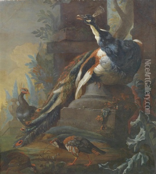 Peacocks In An Ornate Garden Oil Painting - Abraham Bisschop