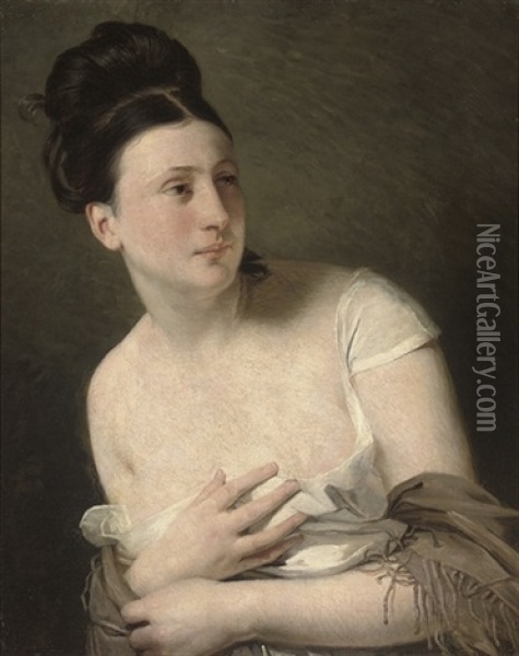Portrait Of A Lady Oil Painting - Claude Marie Dubufe