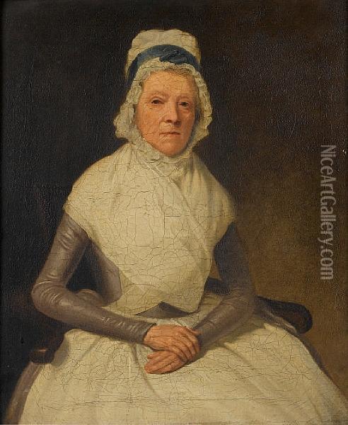 Portrait Of An Elderly Lady Seated Oil Painting - Samuel de Wilde