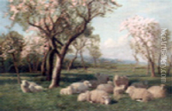 Sheep Resting In An Orchard Oil Painting - William Sidney Cooper