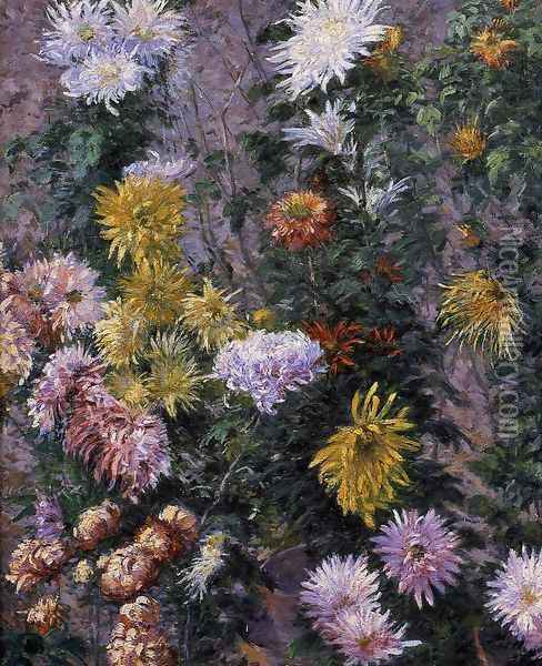 White and Yellow Chrysanthemums, Garden at Petit Gennevilliers Oil Painting - Gustave Caillebotte
