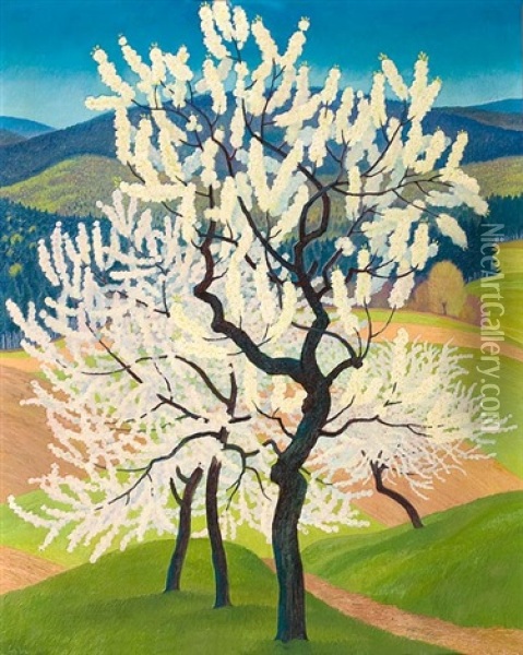 Bluhende Kirschbaume Oil Painting - Gustav Wunderwald