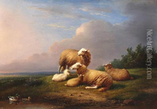Landschap Met Schapen En Eenden Oil Painting - Franz van Severdonck