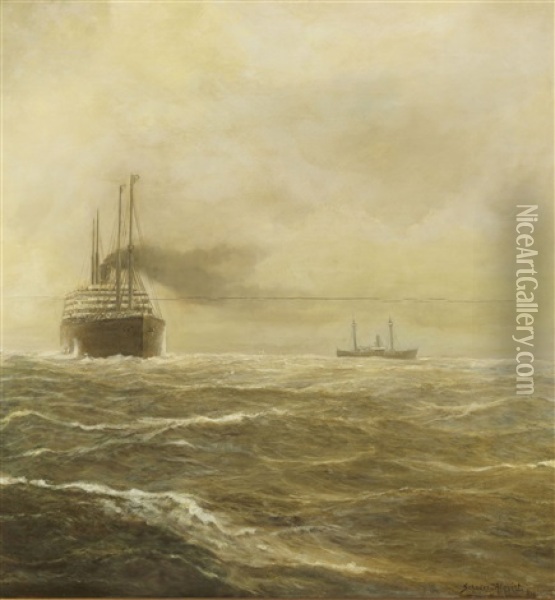 Passagierdampfer Der Hapag Vor Nantucket Shoals Oil Painting - Carl Wilhelm Hugo Schnars-Alquist