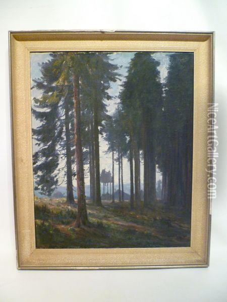 Sapins Oil Painting - Adolphe Rey