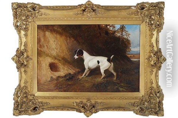 A Terrier Rabbiting Oil Painting - Colin Graeme