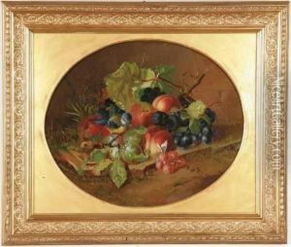 Still Life With Fruit, Butterfly And Bird Oil Painting - Josef Lauer