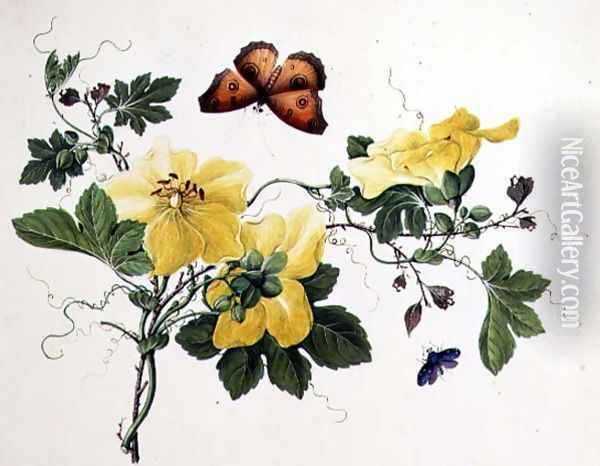 Flower Study and Butterfly Oil Painting - Anonymous Artist