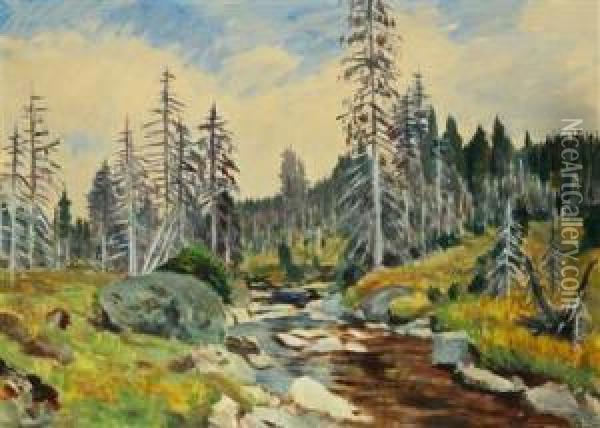 A Mountain Brook Oil Painting - Antonin Hudecek