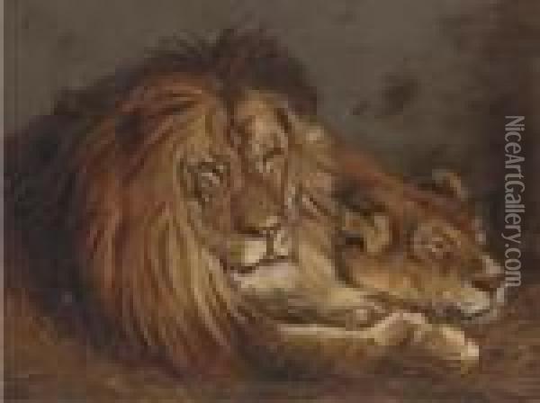 Lion And Lioness Oil Painting - John Macallan Swan