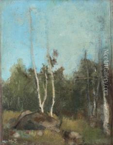 Landskap Med Bjorkar Oil Painting - Helene Schjerfbeck