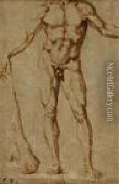 Study For A Figure Of Hercules Oil Painting - Baccio Bandinelli