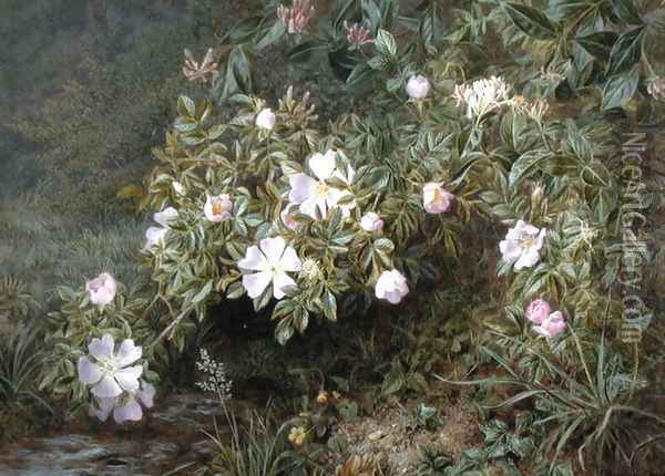 A study of Dog Roses, c.1900 Oil Painting - Niels Pieter Rasmussen