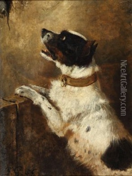 Der Hund Und Die Maus Oil Painting - Filippo Palizzi