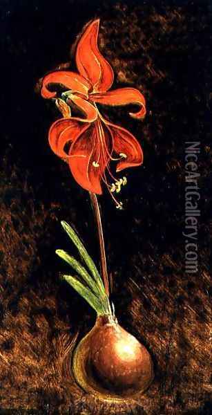 Amaryllis Formosissima, 1808 Oil Painting - Philipp Otto Runge