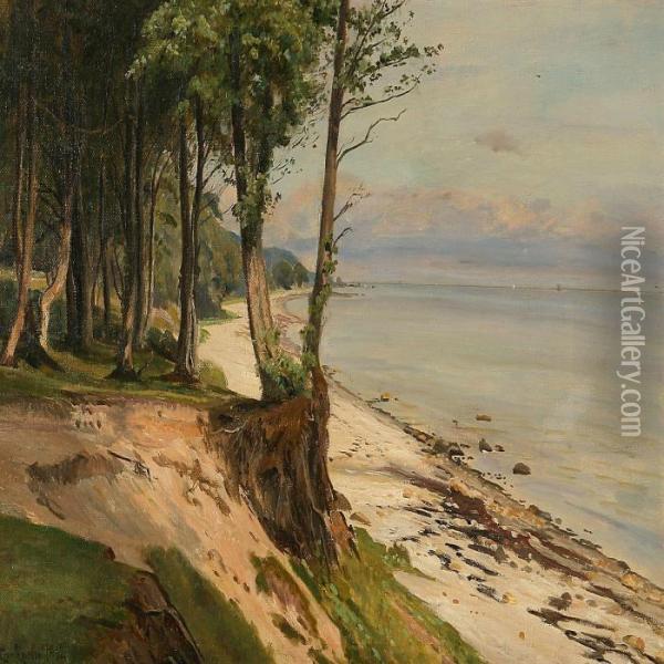 Coastal Scene At Summer Time Oil Painting - Christian Zacho