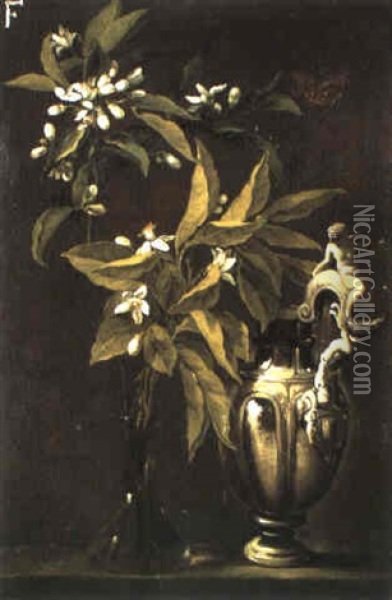 Fiori In Vaso Di Vetro Accanto Ad Una Brocca D'argento Oil Painting - Andrea Belvedere