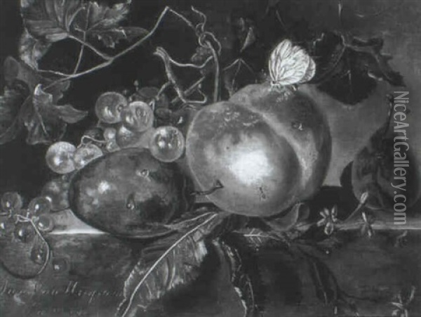 A Plum, Apple, Grapes And Red Currants On A Ledge Oil Painting - Jan Van Huysum