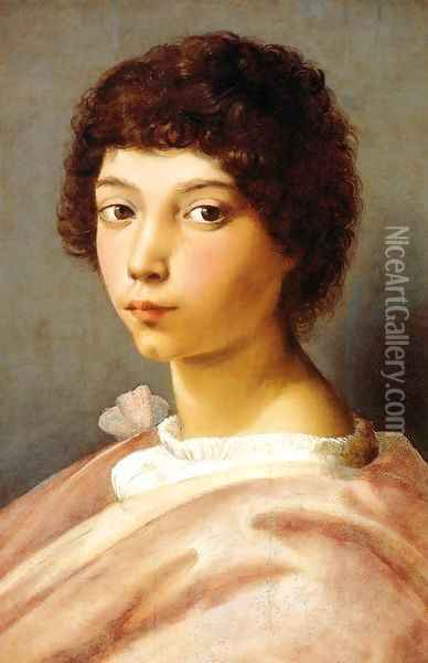 Portrait of a Young Man Oil Painting - Raffaelo Sanzio