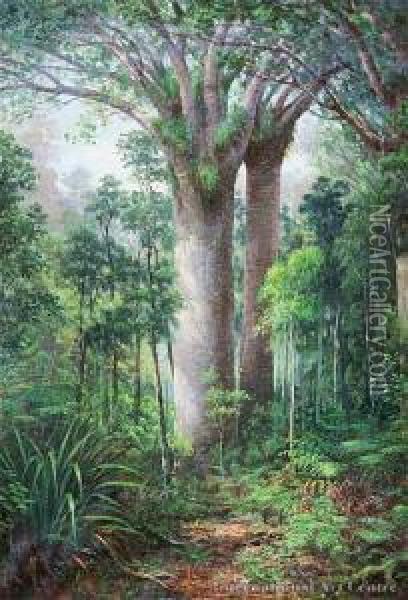 Kauri Park, Kaipara Oil Painting - Charles Blomfield