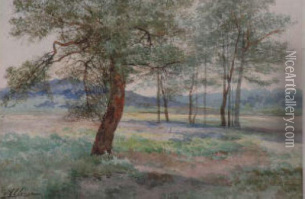 Arbres Dans La Prairie Oil Painting - Auguste Allonge