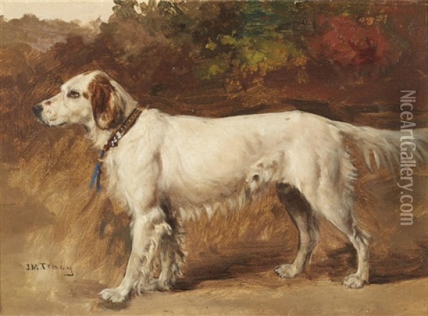 Leicester, An English Setter Oil Painting - John Martin Tracy