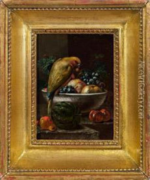 Fruchtestillleben Mitpapagei Oil Painting - Johann Amandus Winck
