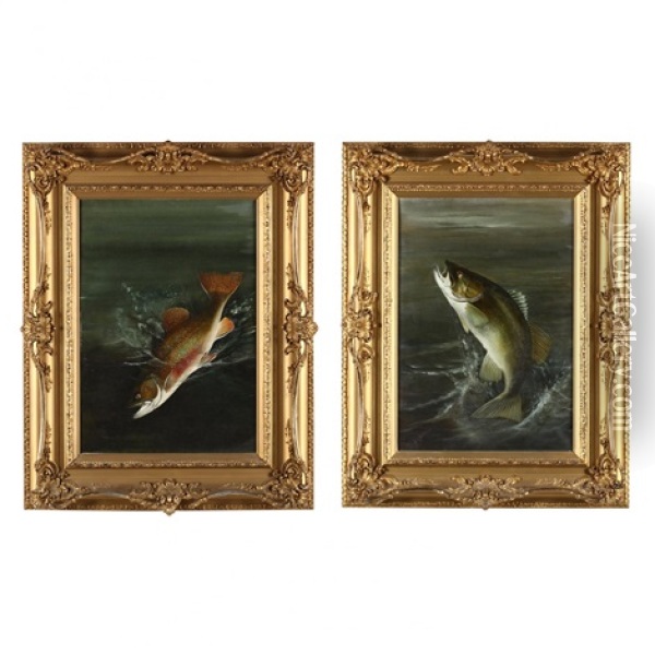 Pair Of Fish Portraits Oil Painting - Harry Driscole