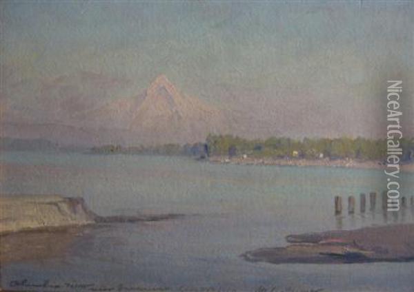 Columbia River Near Vancouver Oil Painting - Martin B. Leisser