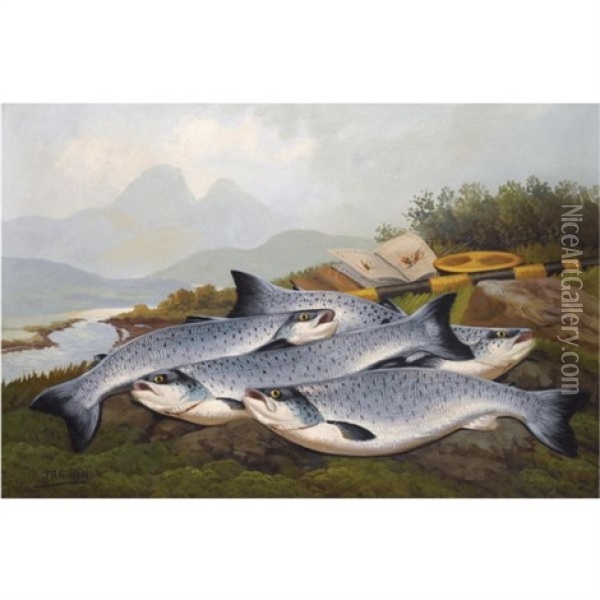 Sea Trout Oil Painting - John Bucknell Russell
