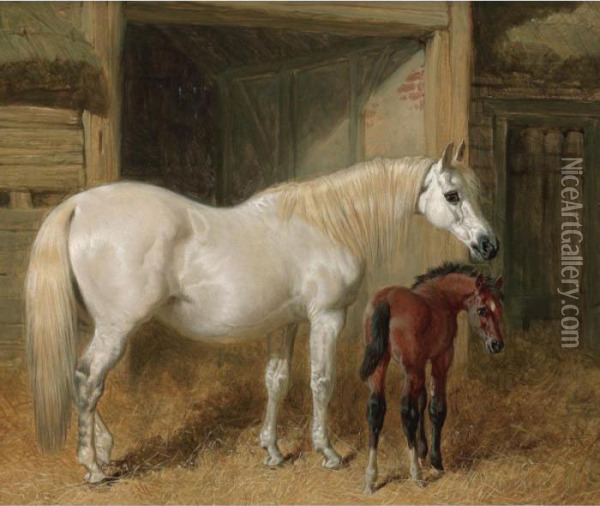 A Grey Mare And Her Foal In A Loose Box Oil Painting - John Frederick Herring Snr