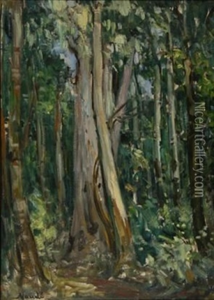 Gum Trees Oil Painting - Pieter Hugo Naude