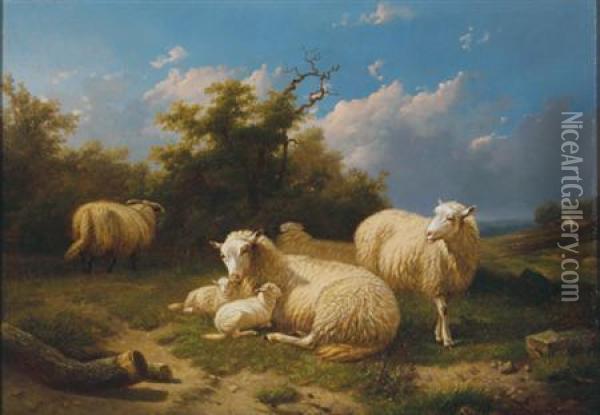 Family Of Sheep At Rest In A Field Oil Painting - Cornelis van Leemputten