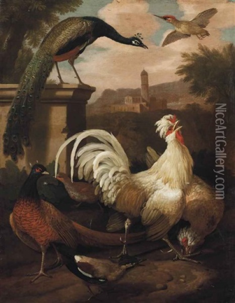 A Cockerel, A Pheasant, A Peacock And Other Birds In A Landscape, A Church Beyond Oil Painting - Melchior de Hondecoeter