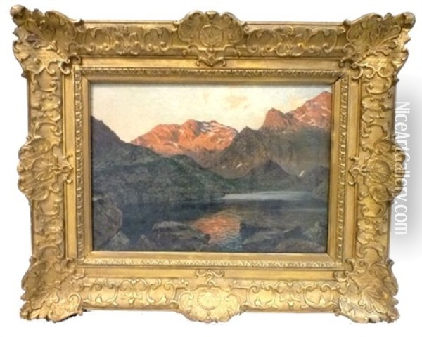 Lac De Montagne Oil Painting - Edouard Brun
