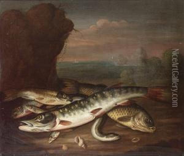 A Pike, An Eel And Other Fish With Shells In A Landscape, A Bay Beyond Oil Painting - Stephen Elmer