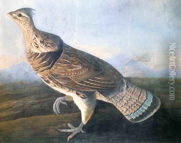 Ruffed Grouse Oil Painting - John James Audubon