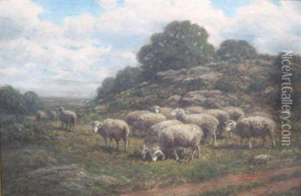 Sheep On The Hill Oil Painting - George Arthur Hays