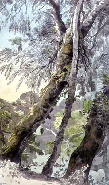 Trees Overhanging Water, 1800 Oil Painting - Francis Towne