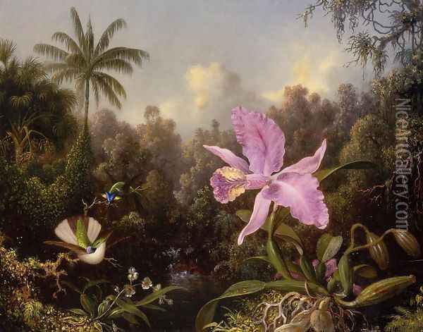 Orchid And Two Hummingburds Oil Painting - Martin Johnson Heade