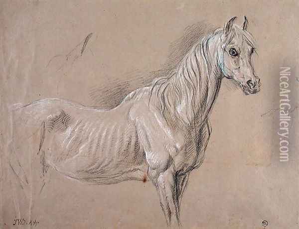 A Mare: possibly a study for LAmour de Cheval, 1827 Oil Painting - James Ward