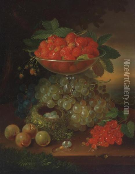 Still Life With Fruit And Nest Of Eggs Oil Painting - George Forster