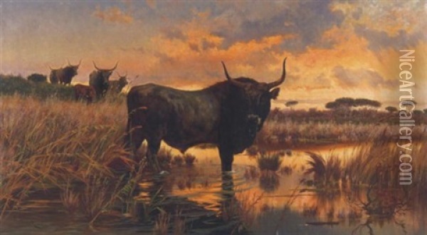 Buffel An Einer Furt Oil Painting - Pietro Barucci