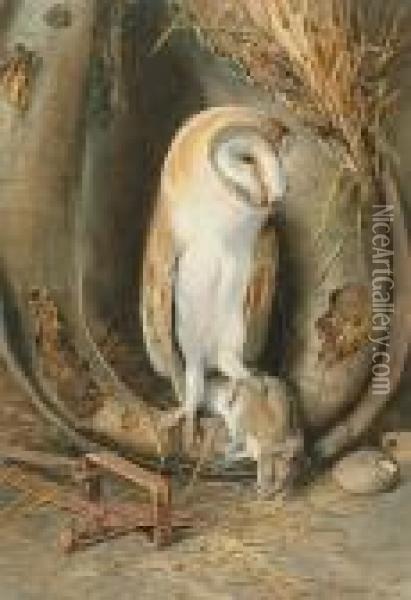 Barn Owl Oil Painting - William Arnold Woodhouse