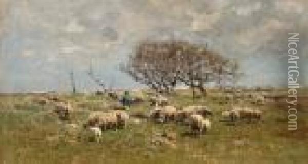 A Shepherd With Sheep In A Field Oil Painting - Anton Mauve