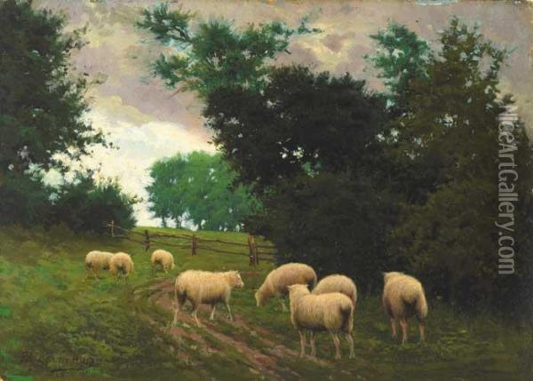 Sheep Pastures, Killeek, County Dublin,1903 Oil Painting - Joseph Malachy Kavanagh