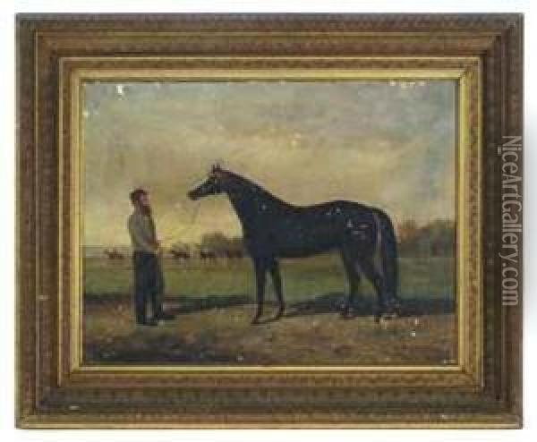 A Horse And Its Trainer Oil Painting - Newbold Hough Trotter