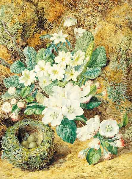Still-life of a bird's nest with apple blossom, primulas and anemonies Oil Painting - Thomas Collier
